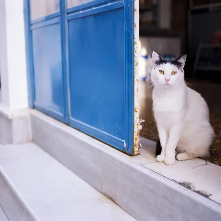 빌라 Luxury Mykonos - 3 Bedrooms - Verve - Stunning Sea Views - Agios Lazaros 프사로우